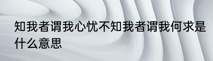 知我者谓我心忧不知我者谓我何求是什么意思
