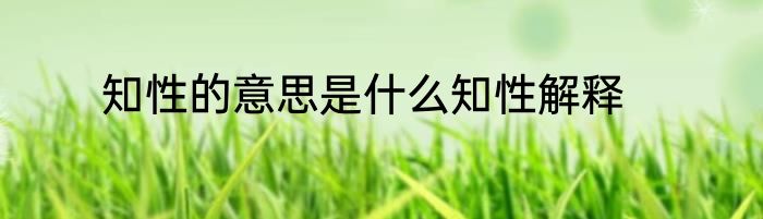 知性的意思是什么知性解释