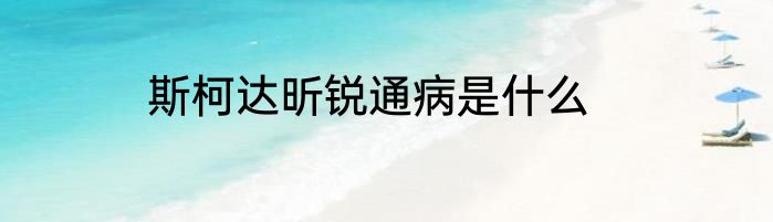 斯柯达昕锐通病是什么