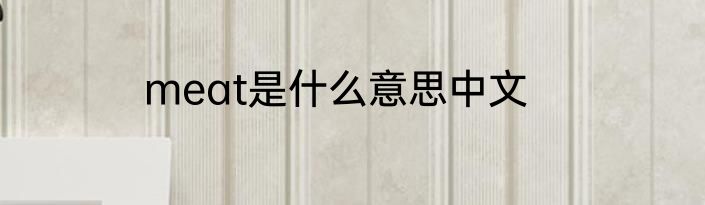 meat是什么意思中文
