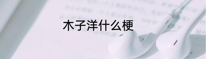 木子洋什么梗