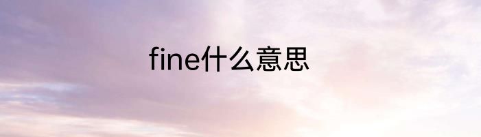 fine什么意思