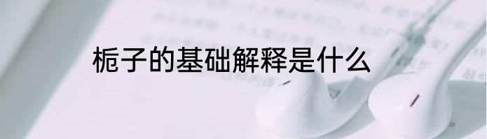 栀子的基础解释是什么