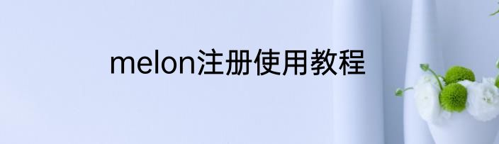 melon注册使用教程