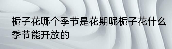 栀子花哪个季节是花期呢栀子花什么季节能开放的
