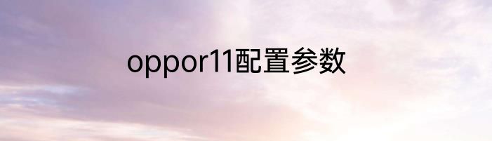 oppor11配置参数