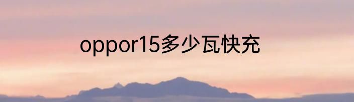 oppor15多少瓦快充