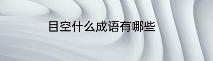 目空什么成语有哪些
