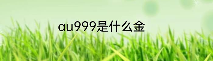 au999是什么金