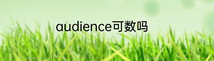 audience可数吗
