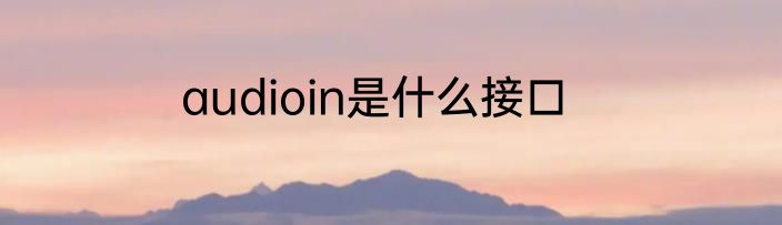 audioin是什么接口