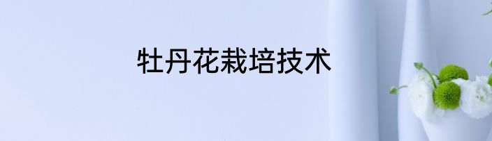 牡丹花栽培技术