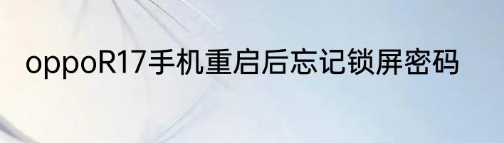 oppoR17手机重启后忘记锁屏密码