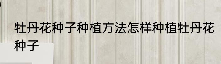 牡丹花种子种植方法怎样种植牡丹花种子