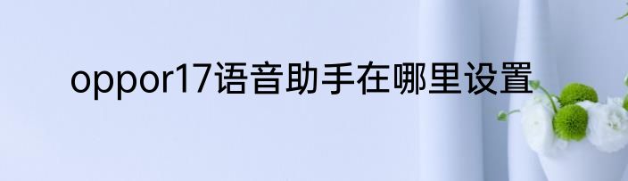 oppor17语音助手在哪里设置