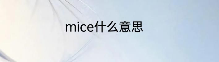 mice什么意思