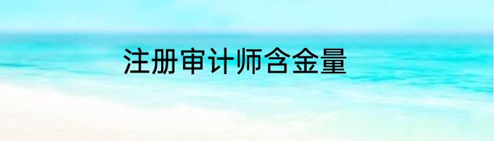 注册审计师含金量