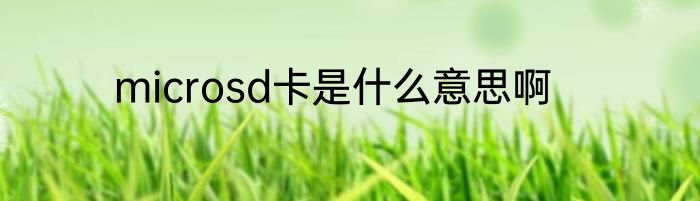 microsd卡是什么意思啊