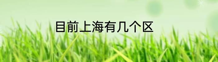 目前上海有几个区