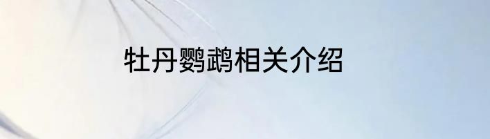 牡丹鹦鹉相关介绍