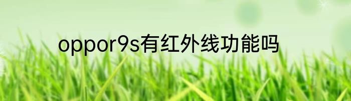 oppor9s有红外线功能吗