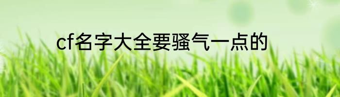 cf名字大全要骚气一点的