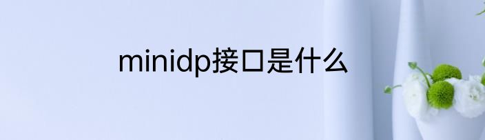 minidp接口是什么