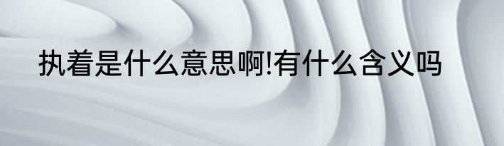 执着是什么意思啊!有什么含义吗