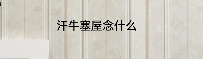 汗牛塞屋念什么