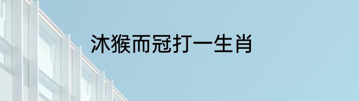 沐猴而冠打一生肖