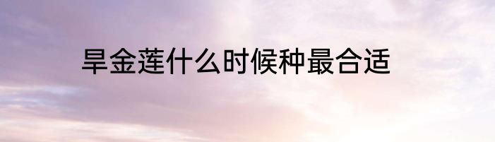 旱金莲什么时候种最合适