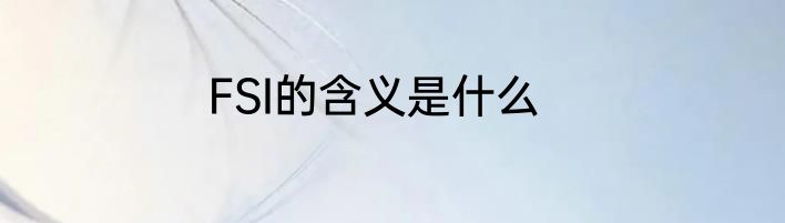 FSI的含义是什么