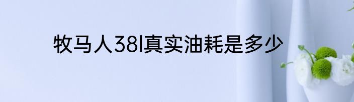 牧马人38l真实油耗是多少