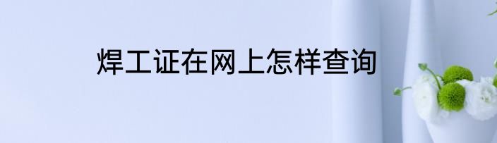焊工证在网上怎样查询