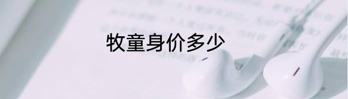 牧童身价多少