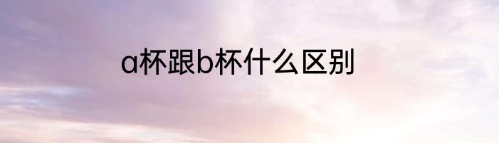 a杯跟b杯什么区别