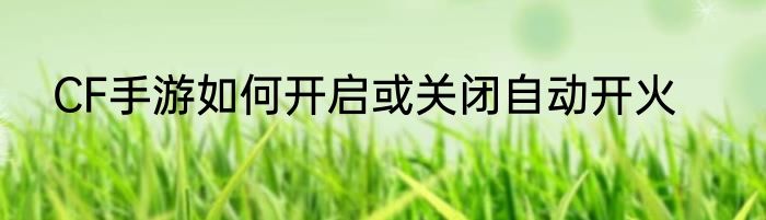 CF手游如何开启或关闭自动开火