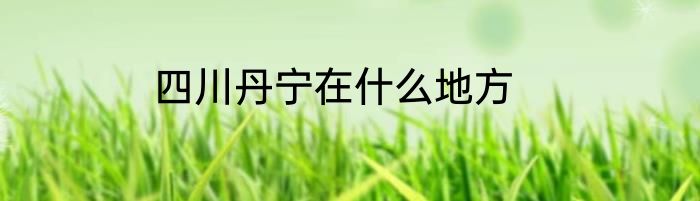 四川丹宁在什么地方