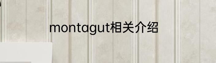 montagut相关介绍