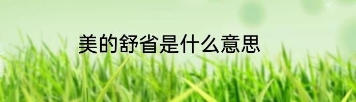 美的舒省是什么意思