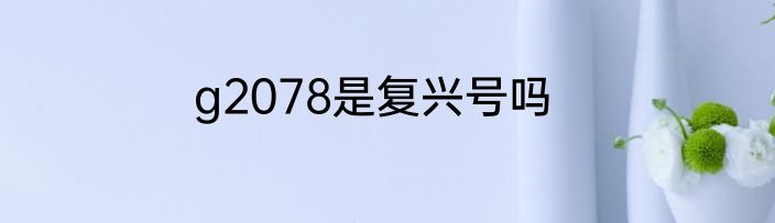 g2078是复兴号吗
