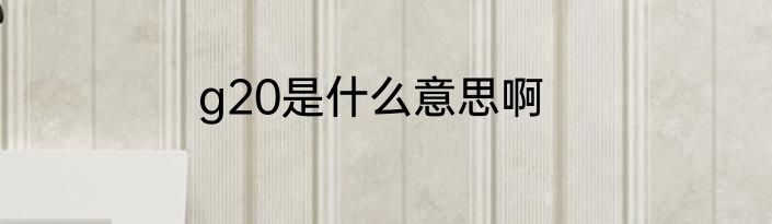 g20是什么意思啊