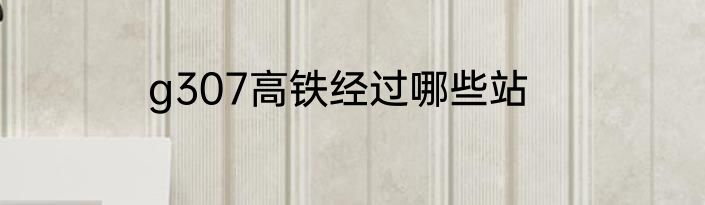 g307高铁经过哪些站