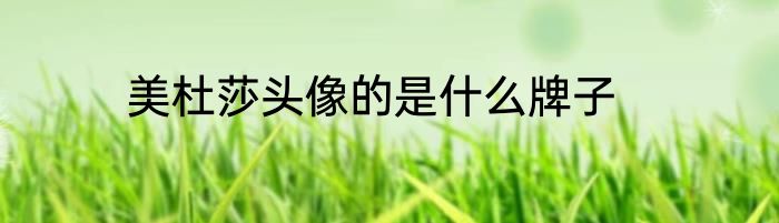 美杜莎头像的是什么牌子