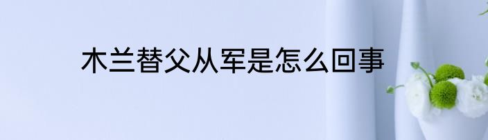 木兰替父从军是怎么回事