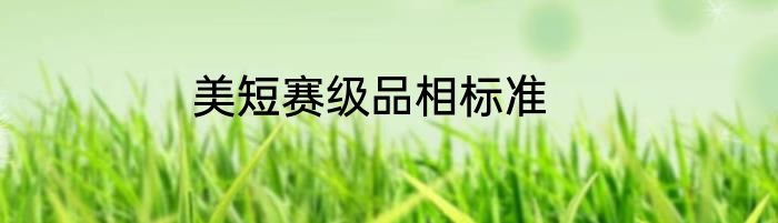 美短赛级品相标准