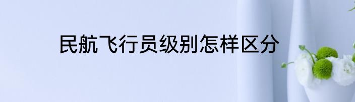 民航飞行员级别怎样区分