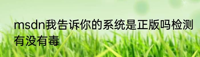 msdn我告诉你的系统是正版吗检测有没有毒