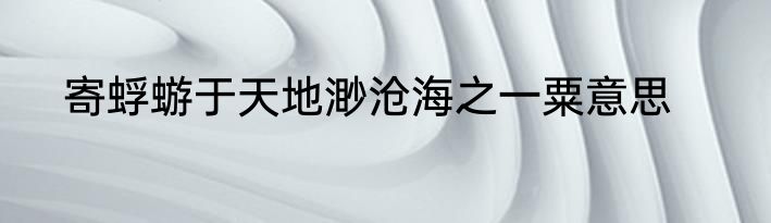 寄蜉蝣于天地渺沧海之一粟意思