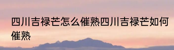 四川吉禄芒怎么催熟四川吉禄芒如何催熟